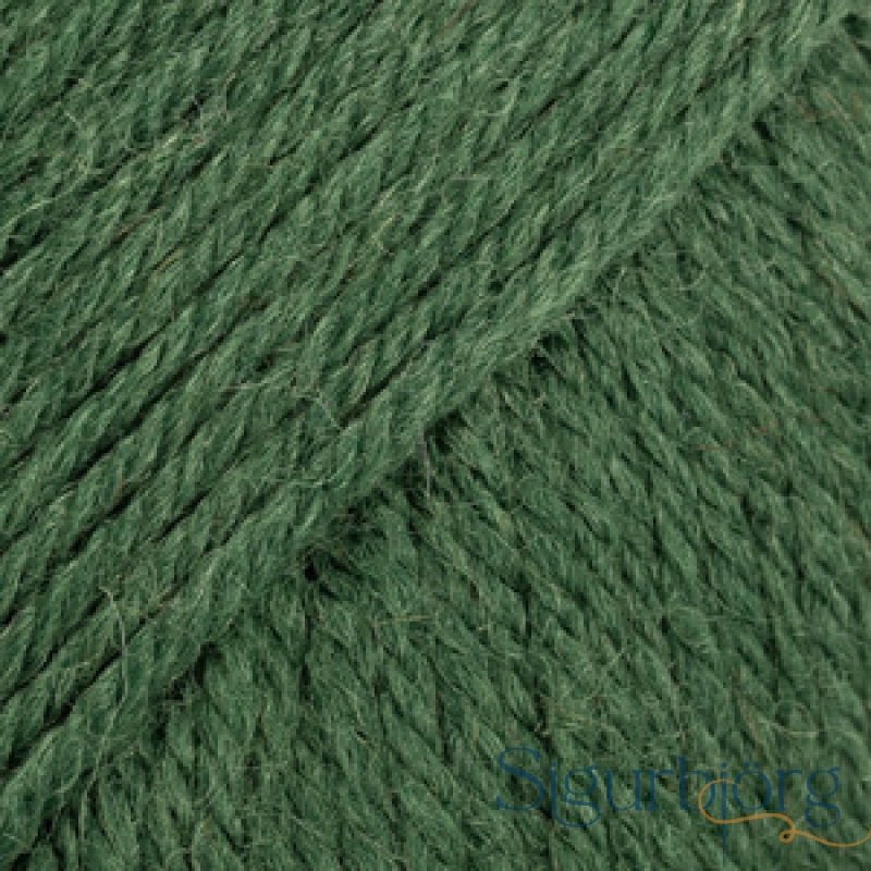 Fiesta -  13 - Dökk bergflétta