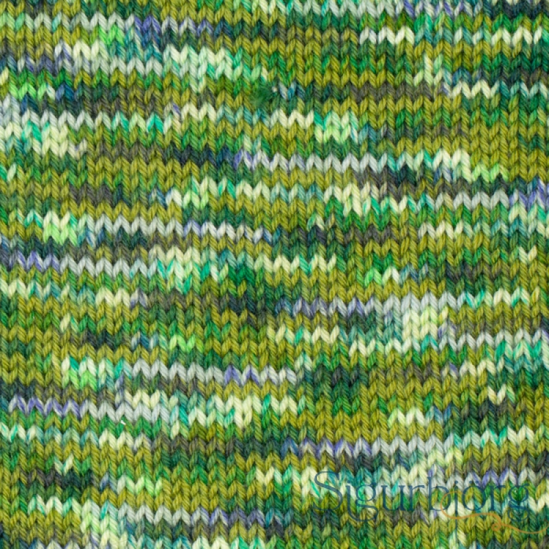 Fiesta - 16 - Kryddjurtagarður