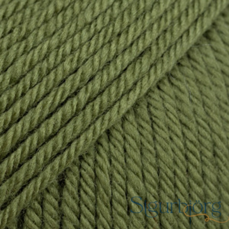 Daisy - 17 - Mosagrænn