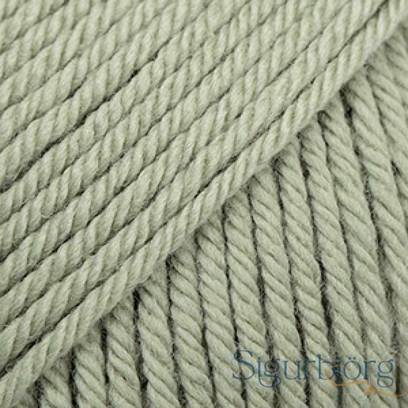 Daisy - 26 - Salvíugrænn