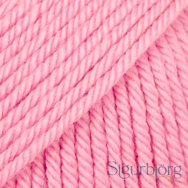 Daisy - 30 - Rósablað