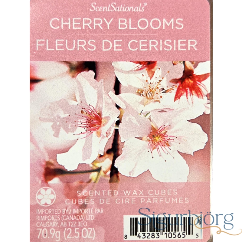 Wax melts Cherry blooms