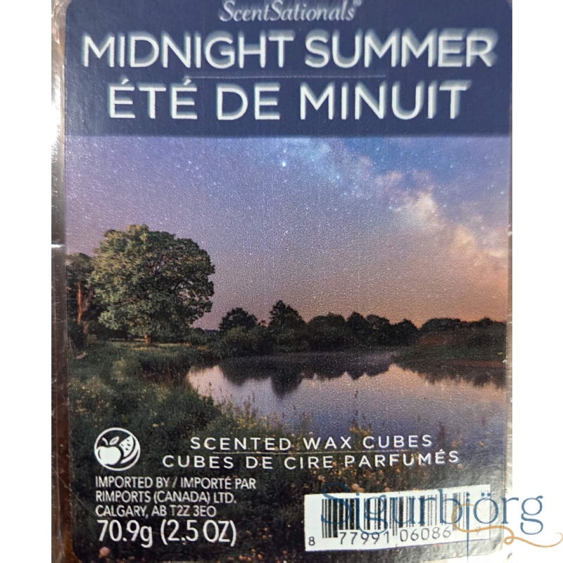 Wax melts Midnight summer