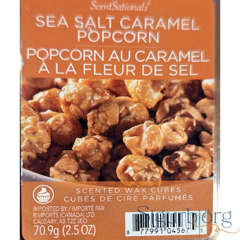 Wax melts Sea salt caramel popcorn