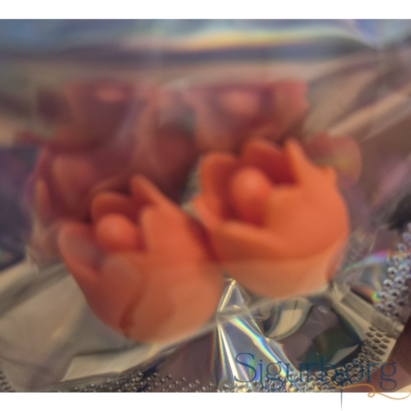 Appelsínugulir túlipanar