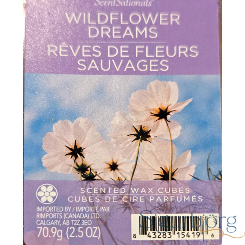 Wax melts Wildflower dreams